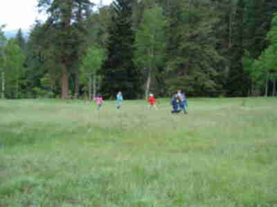 The game in action