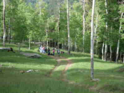 Hiking down from the Upper Meadow