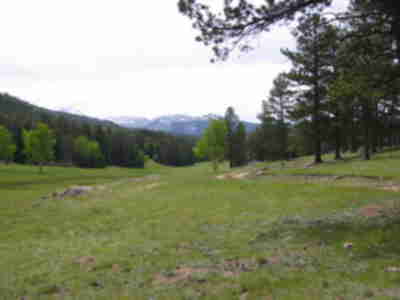 The meadow at Mt. Evans State Wildlife Area with Mt. Evans in the background
