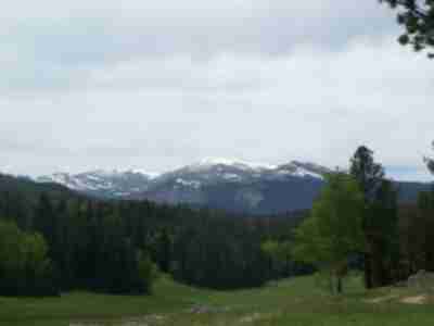 Mt. Goliath (right) and another sub-mountain (left) of Mt. Evans (off-screen to left)