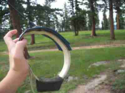 A radio collar used with Pronghorn Antelope