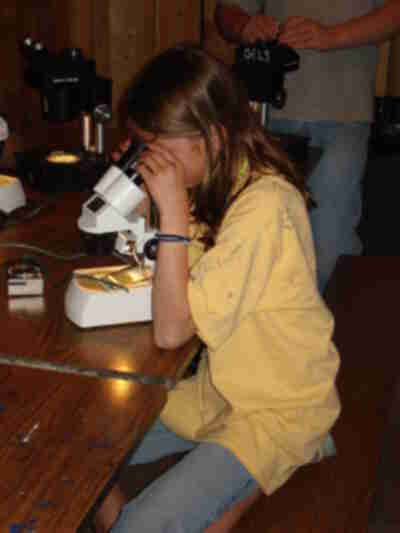 Sarah looking at the scale underneath a microscope to determine the age of the salmon.