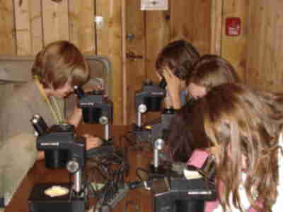 Nathan, Paul, Kylie, Caities and Megan looking at the scales