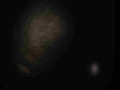 A magnified Fish Scale projected onto the board