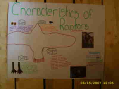 Madelyn's finished poster