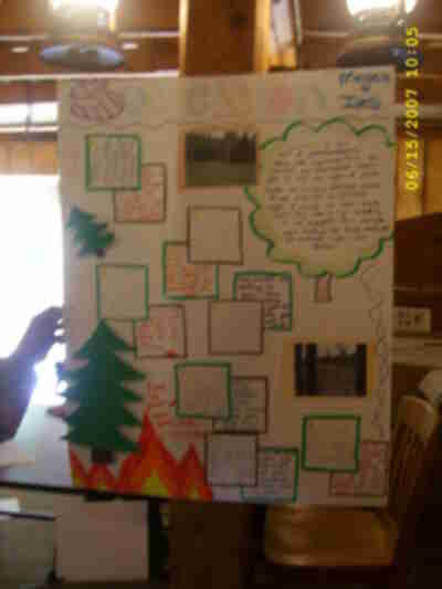 Megan's finished poster