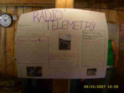 Lindsey's finished poster
