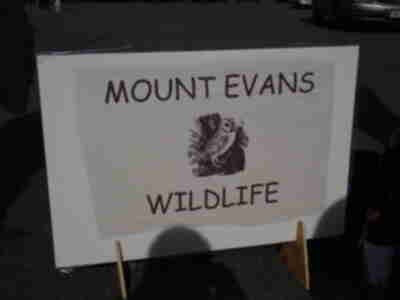 Mount Evans Outdoor Lab - Wildlife Biology - GT Week - June 9-13,2008