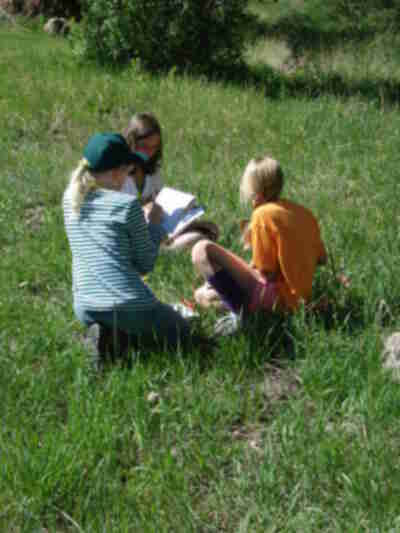 Carly, Jenny and Laura work out the mountain lion problem