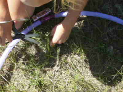 Clipping grass to determine how many mule deer the area can support