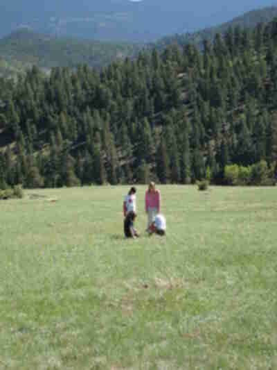 Clipping grass