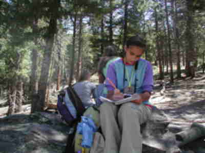 Tarryn records what birds she sees and hears