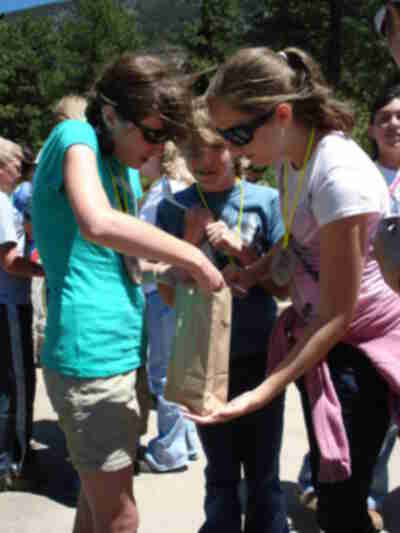 Allison, Jenny and Janie choose beaks for the bird beak relay