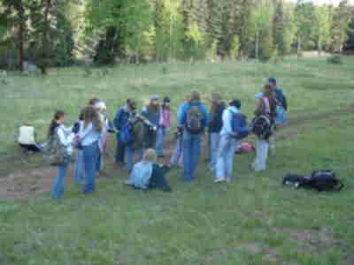 Wrapping up the game and discussing how predators are needed to keep the deer population in balance.