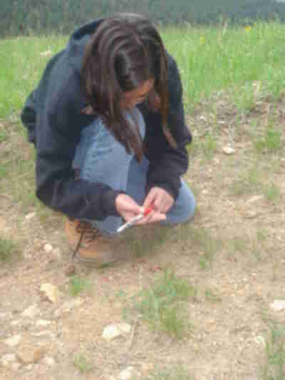 Madeline marking the captured Kidneus beaneus