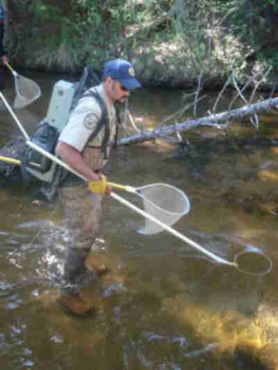 Nick Electrofishing