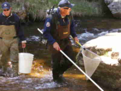 Paul Electrofishing while Greg follows behind with a bucket for the fish.