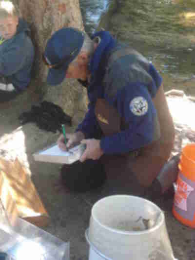 Paul recording data on the fish