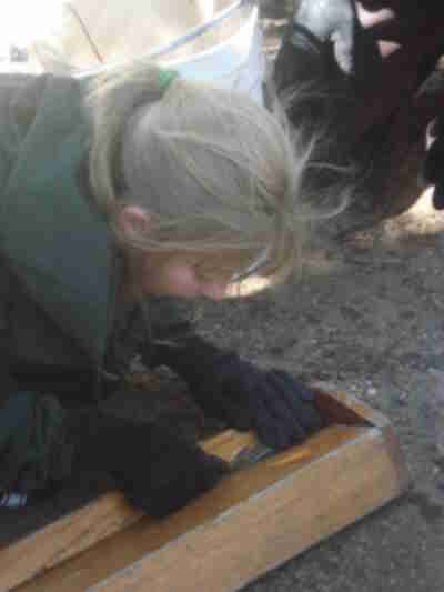 Jenny measuring a fish