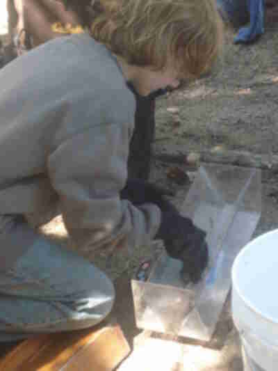 Izzy weighing a fish