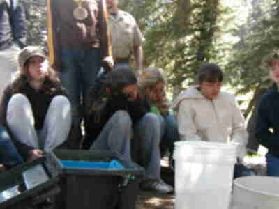 Watching the fish be measured and weighed