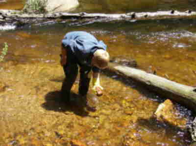 Dylan looking for aquatic insects