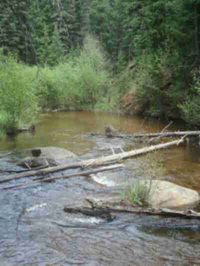 Bear Creek